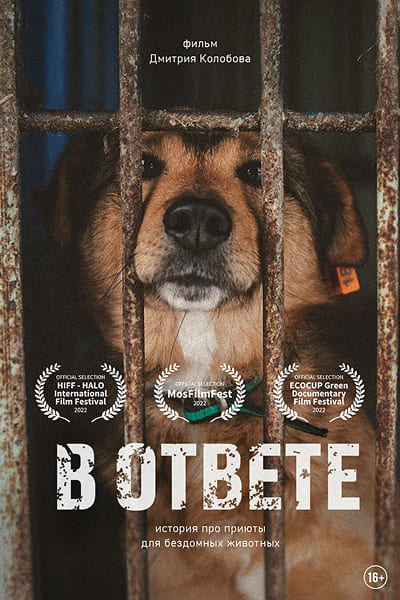 В ответе